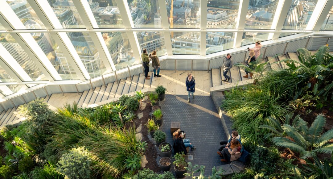 birds eye view of green plants and windows