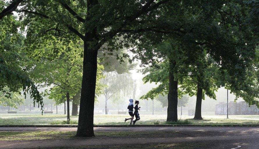 people running in a park by trees