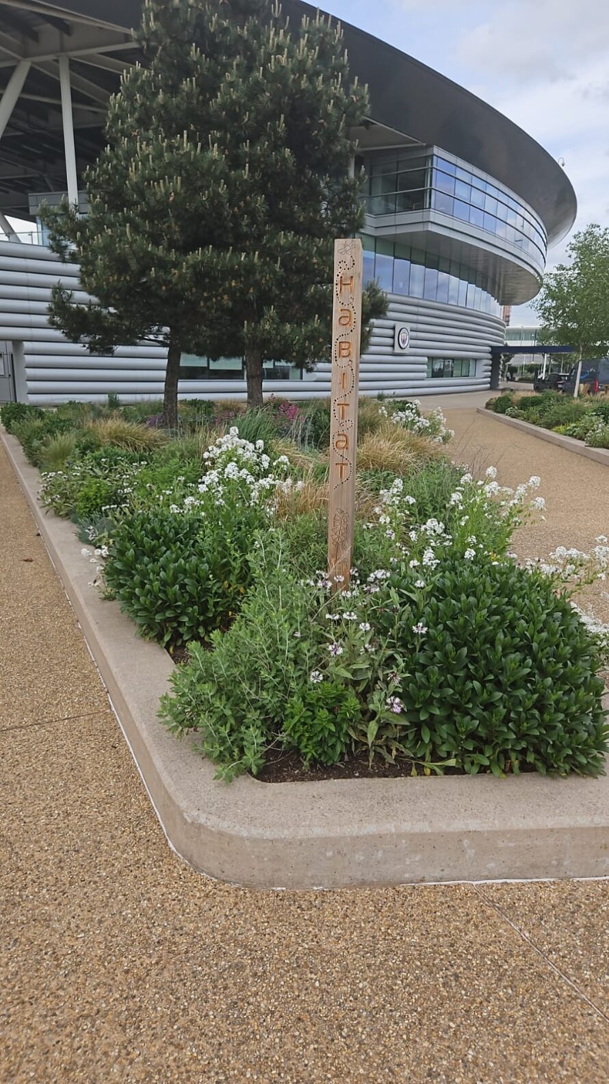 flowers and wooden post