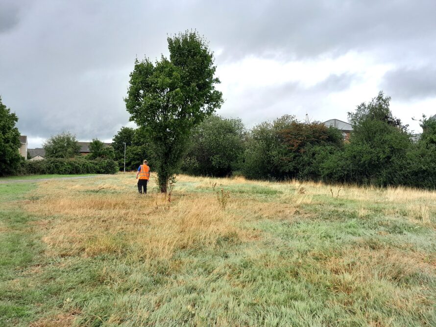 Enhancing Wiltshire’s Biodiversity1