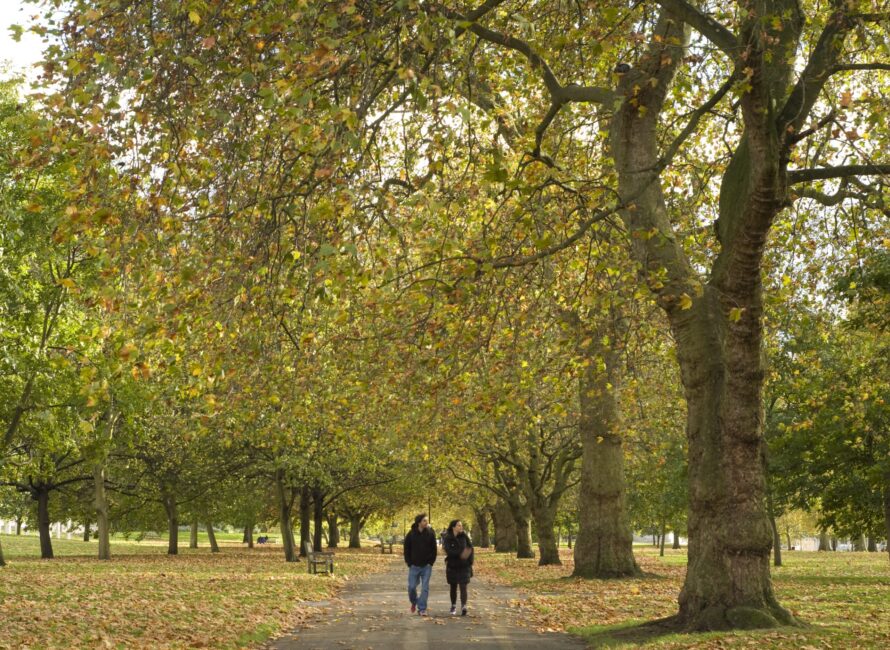 walking on path in autumn