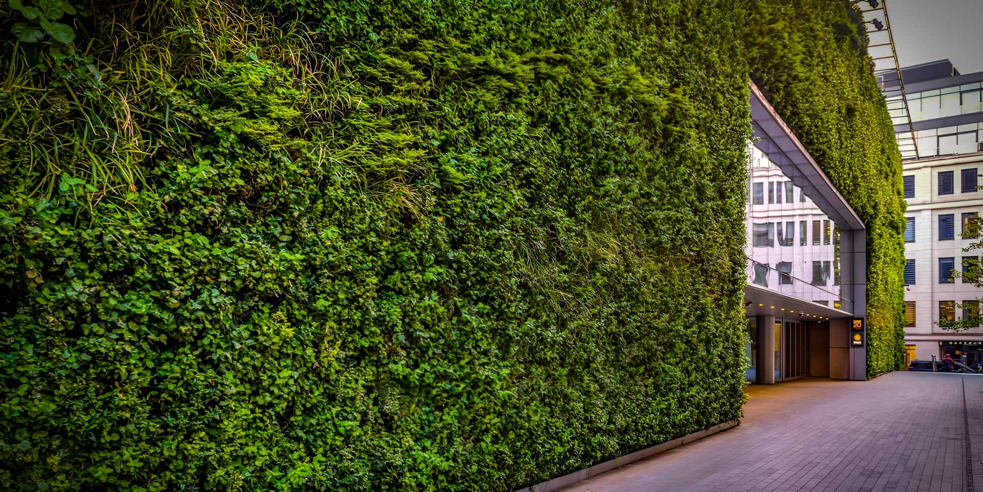 Large-scale green living wall covering a curved building exterior with lush mixed foliage in an urban setting