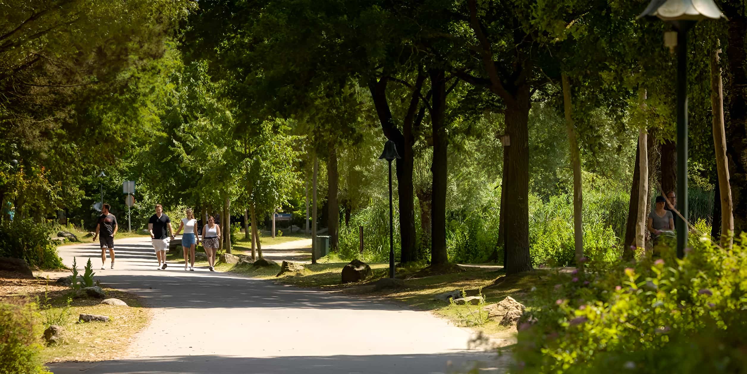 People walking along a tree-lined park path in summer, with lush green foliage and dappled sunlight