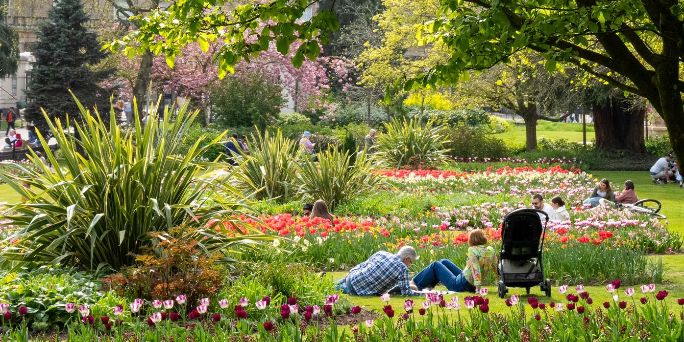 Visitors relaxing among vibrant tulip beds in a well-maintained public park in spring, with ornamental trees in bloom