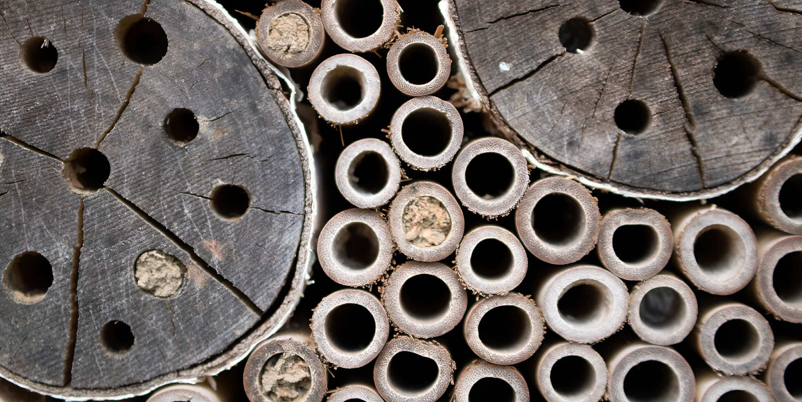 Close-up of an insect hotel showing hollow bamboo tubes and drilled wooden logs providing nesting habitat for solitary bees