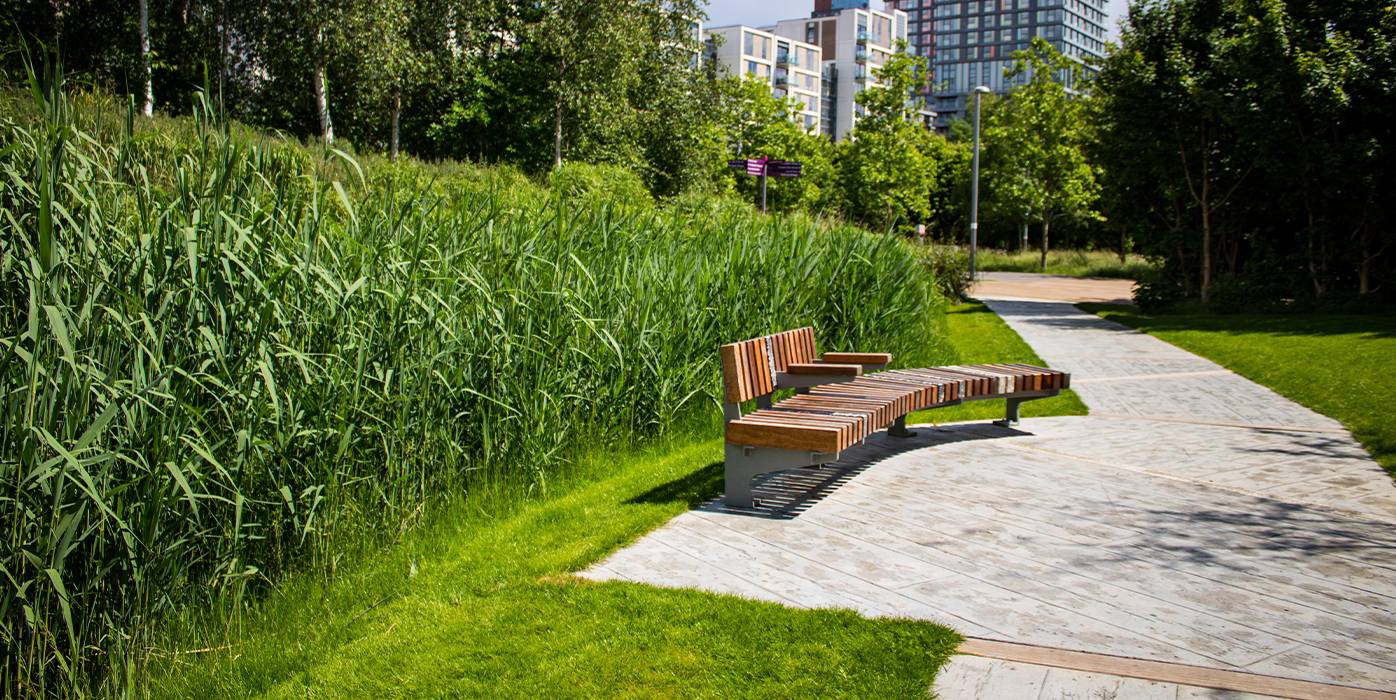 Curved wooden bench beside tall reeds on a paved park path with urban buildings in the background