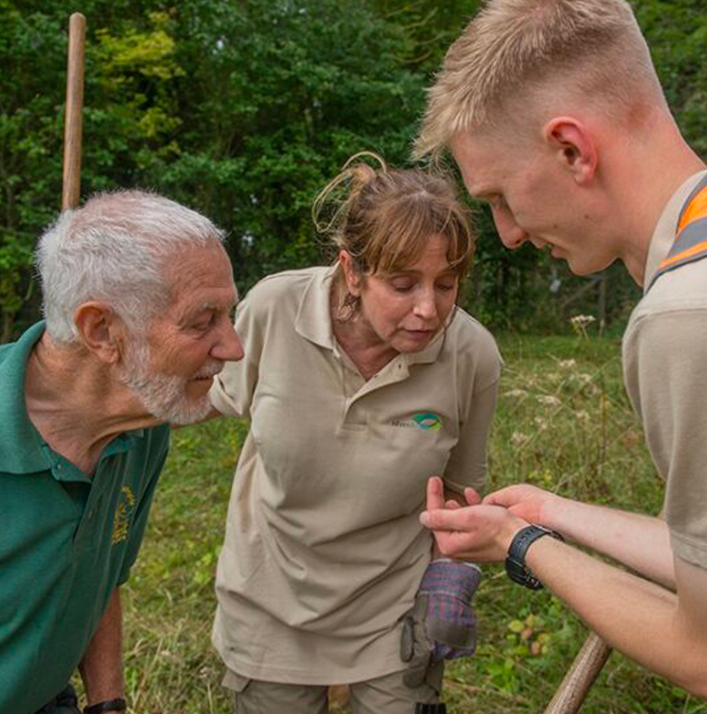 Three people examining a small specimen held in hand on a wildflower meadow site, with woodland in the background