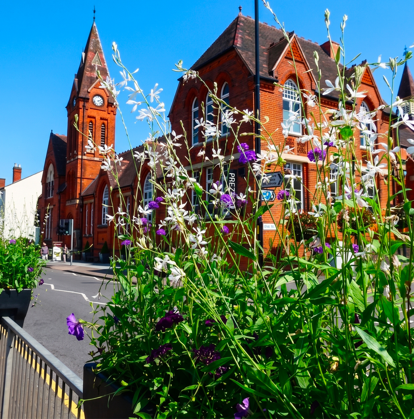 Tall white and purple flowering plants in a street planter in front of a Victorian red-brick clock tower building on a summer day
