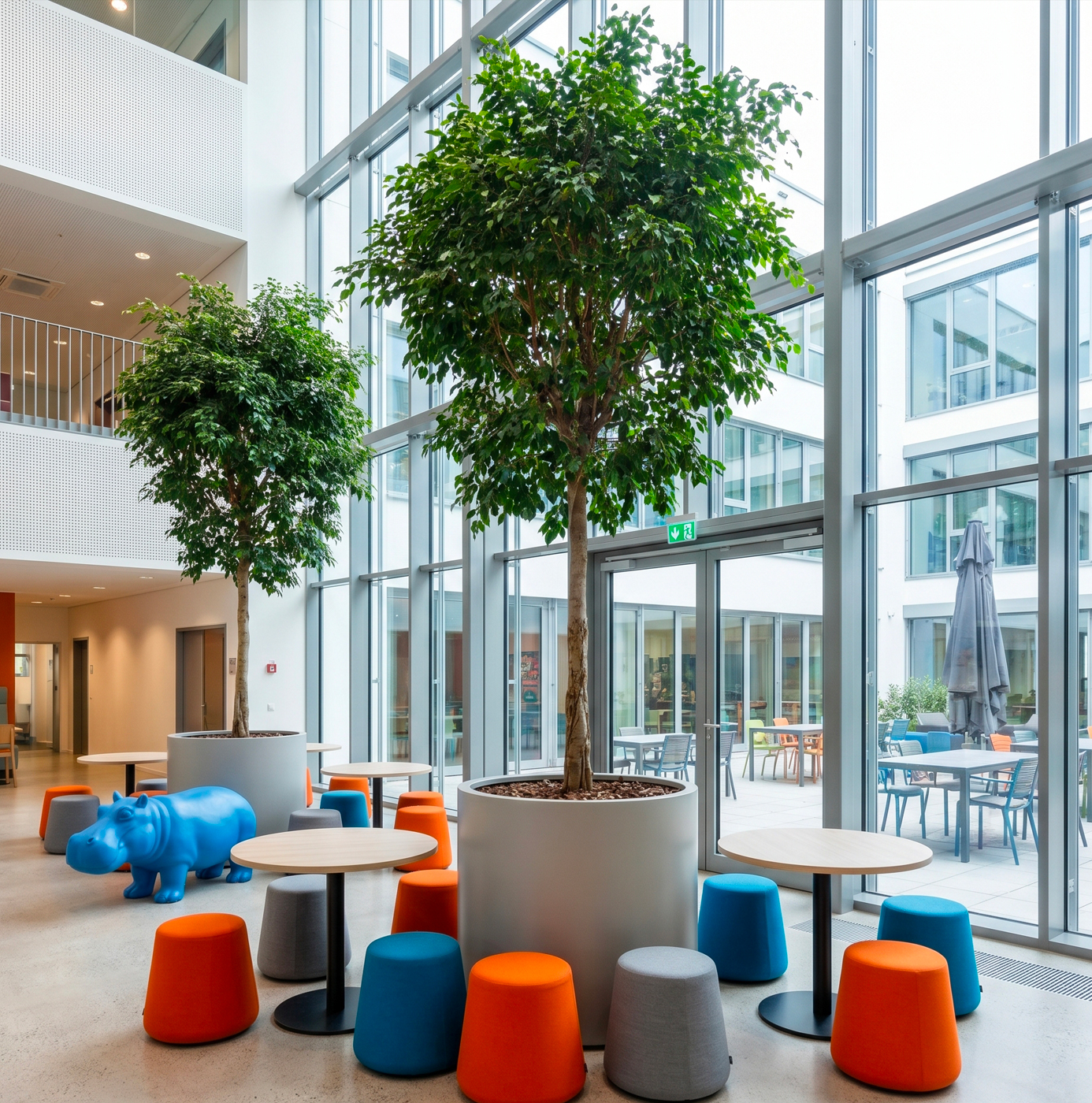 Two large ficus trees in white cylindrical planters in a bright glazed atrium breakout space with colourful modular seating.