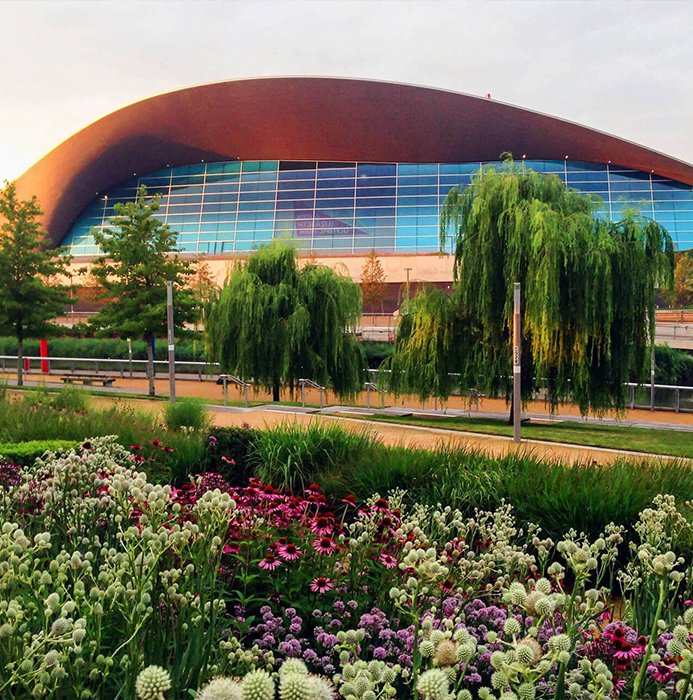 Colourful wildflower planting with weeping willows and the London Aquatics Centre curved roof in the background.