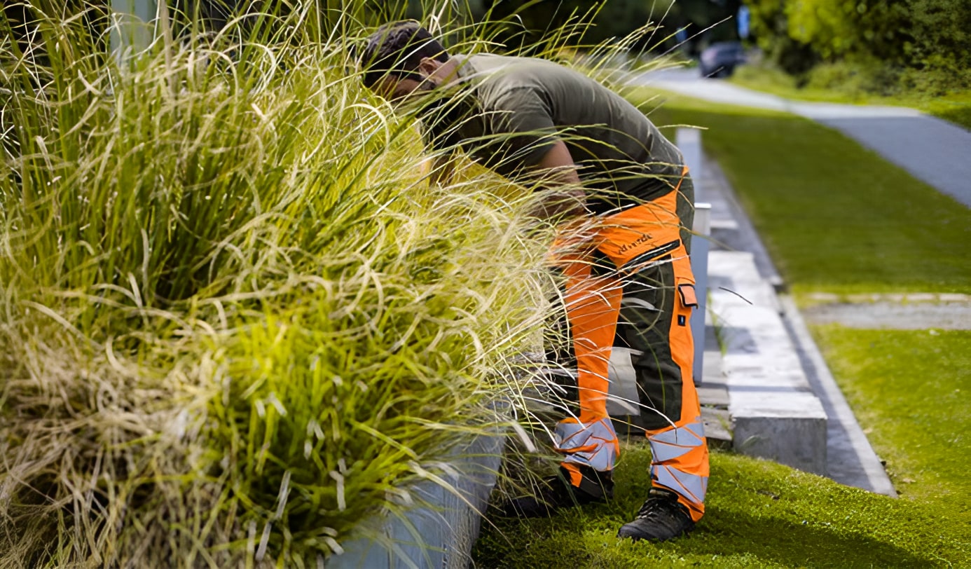 idverde worker in hi-vis orange trousers tending ornamental grass borders along a manicured garden path