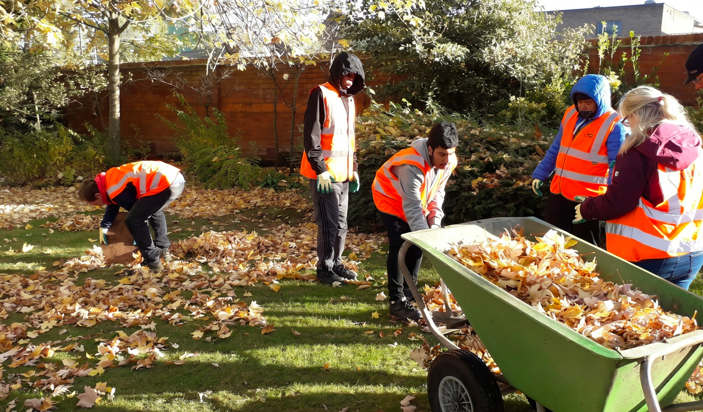A group of volunteers in orange high-visibility vests collecting autumn leaves into wheelbarrows in a garden setting