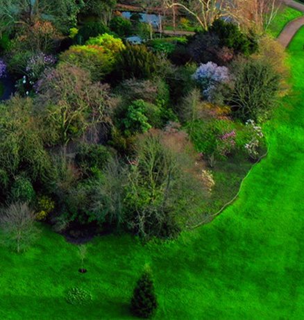 Aerial view of a lush mixed shrub border with colourful planting set against a vivid green manicured lawn