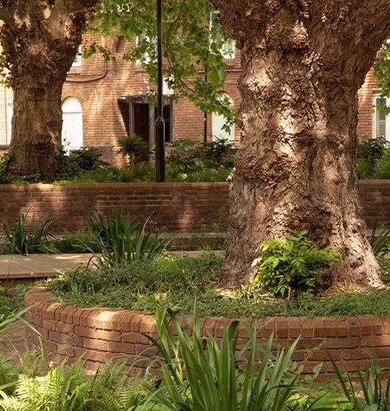 Mature trees in raised brick planters surrounded by lush greenery beside a red brick building