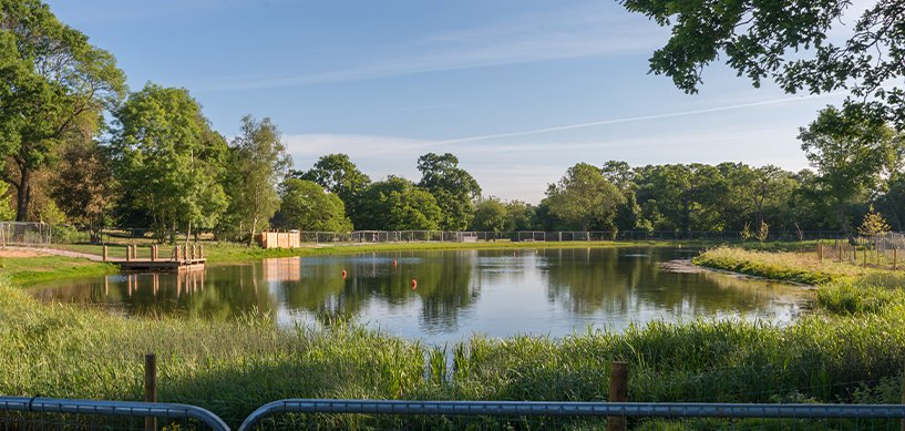 Calm park lake surrounded by lush green trees and grass, with orange buoys, a wooden jetty, and metal fencing on a sunny day