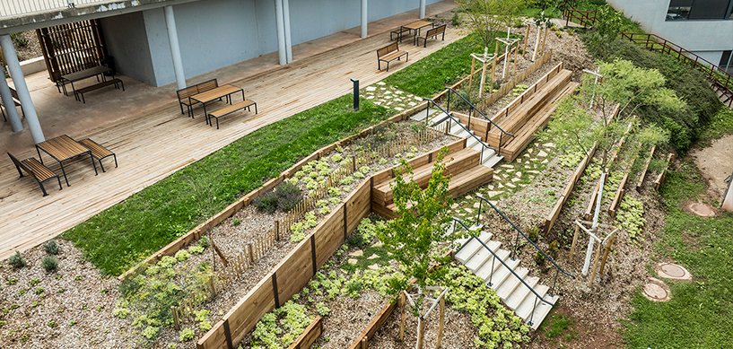 Terraced outdoor garden with wooden raised beds, young trees, gravel paths, stairs, and modern benches on a timber deck
