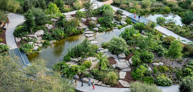 Aerial view of a landscaped garden with a natural pond, stepping stones, lush greenery and winding paths