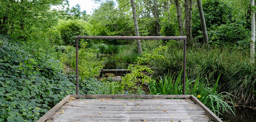 Wooden deck platform with metal frame gateway overlooking a lush green woodland pond landscape