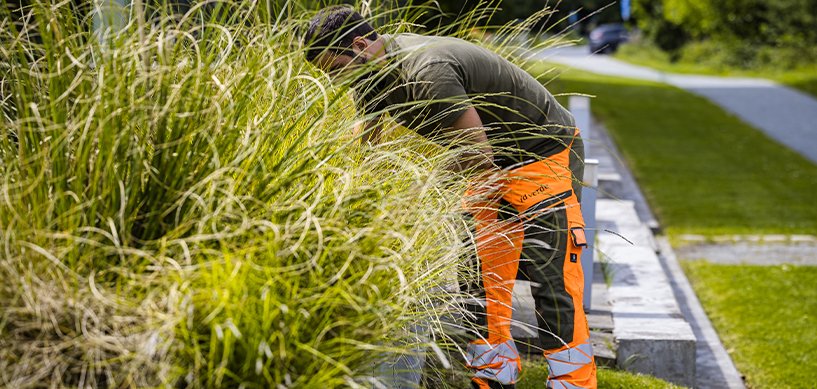 idverde groundskeeper in orange hi-vis trousers tending ornamental grass along a manicured garden path