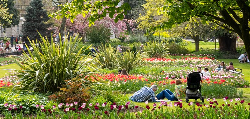People relaxing among vibrant red and pink tulip beds in a lush public park with ornamental grasses and flowering trees