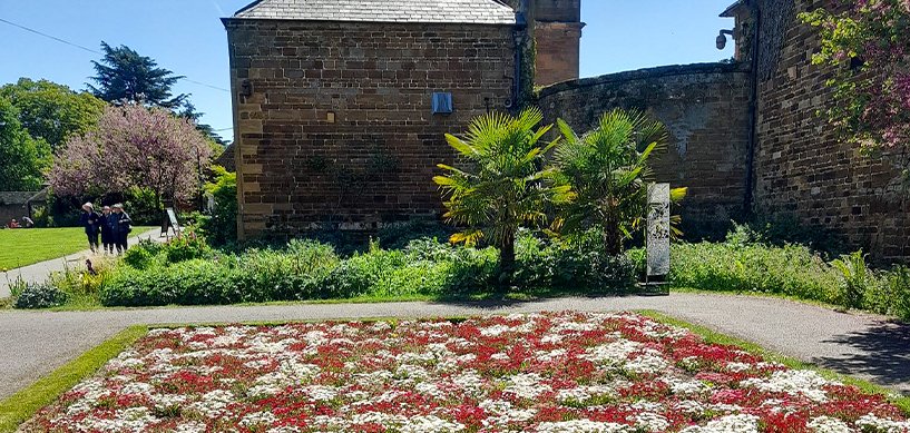 Red and white floral carpet bed outside a historic stone building with palm tree and colourful garden borders