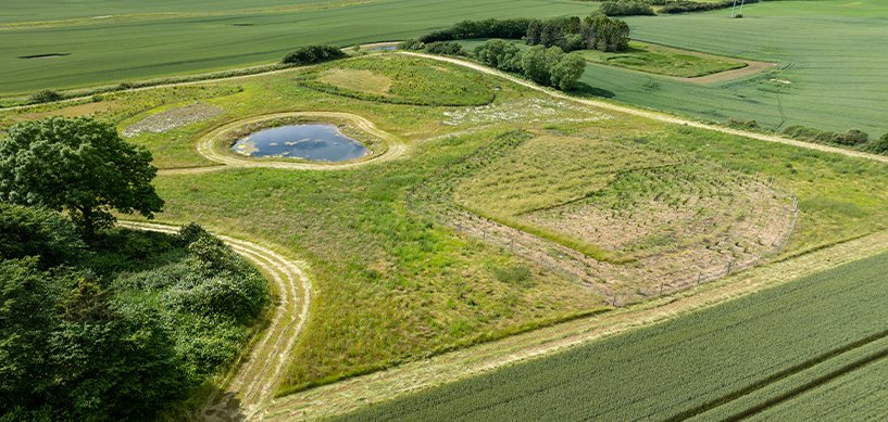 Aerial view of a landscaped nature reserve with a circular pond, wildflower areas, and surrounding agricultural fields.