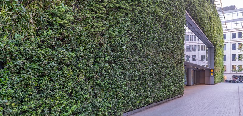 Large curved living green wall covered in dense foliage wrapping around a modern urban building entrance