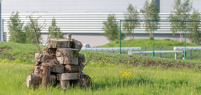 Stack of cut log sections piled in a green meadow with young trees and an industrial building in the background