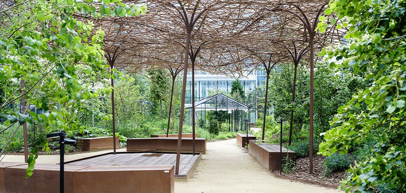 Contemporary garden pergola with sculptural metal arches, wooden benches, lush greenery and glass greenhouse in background