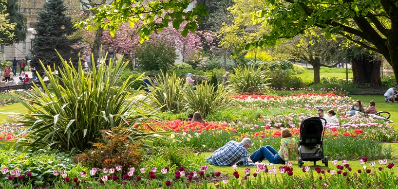 People relaxing among colourful tulip beds in a lush public park with ornamental grasses and flowering trees in spring