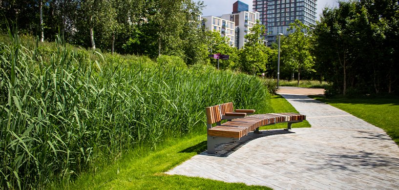 Curved wooden bench beside tall reeds on a paved park path with green lawns and modern city buildings in background