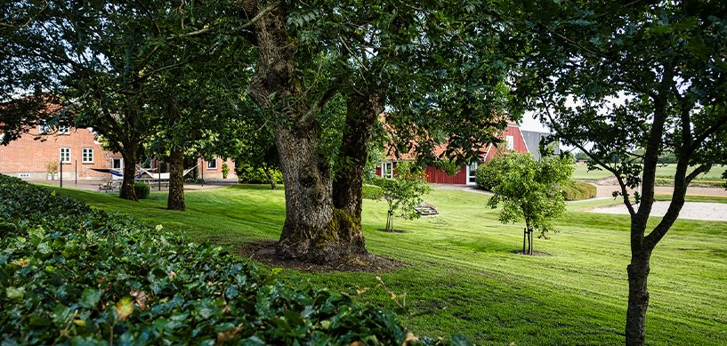 Well-maintained grounds with large mature trees, trimmed hedges, lush lawn, and red brick farm buildings in background.