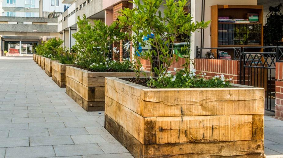 Row of large wooden sleeper raised planters with shrubs and white flowers along an urban pedestrian walkway