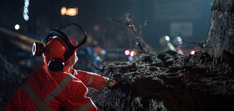 idverde worker in red PPE and face shield inspecting a fallen tree at night during emergency grounds maintenance