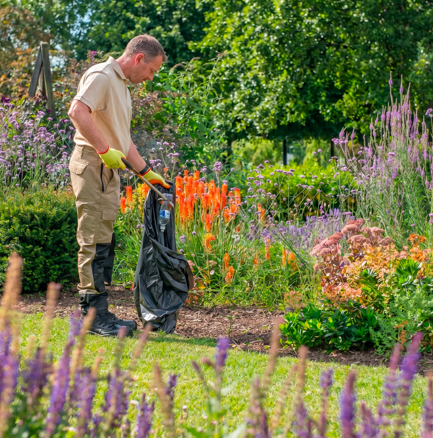 An idverde operative litter-picking in a richly planted summer perennial border with kniphofia, verbena, and sedum in full bloom.
