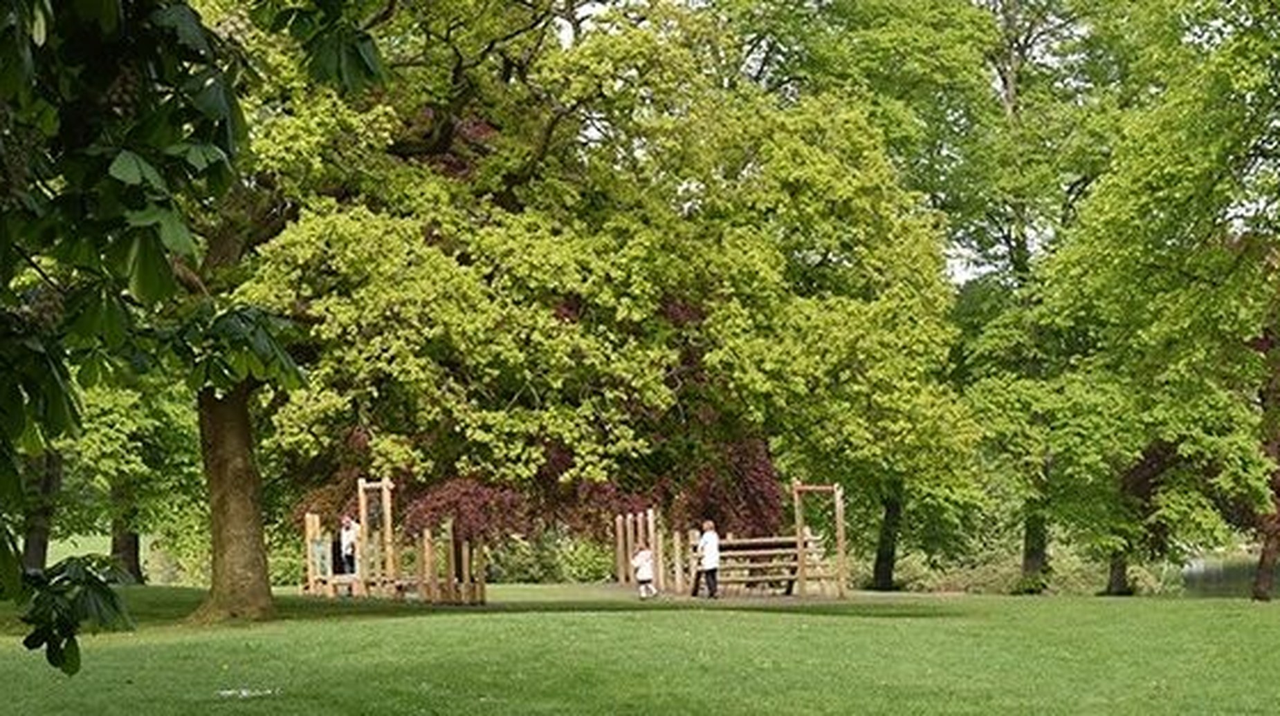 Children playing on wooden equipment in a tree-lined park