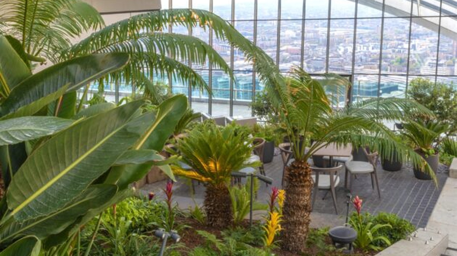 Sky Garden with palm trees, tropical plants, and skyline view through glass windows