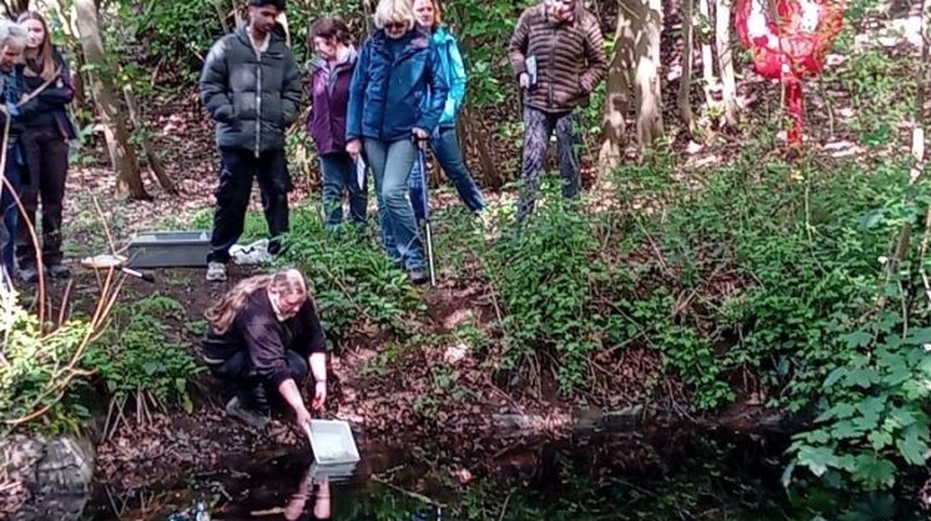 Volunteers watch as a participant samples pond water during survey training