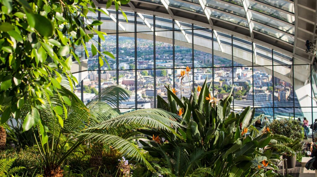 Lush indoor garden with palm trees and city skyline view through glass dome