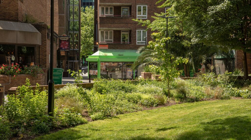 Urban green space with landscaped plants, lawn and trees near city buildings