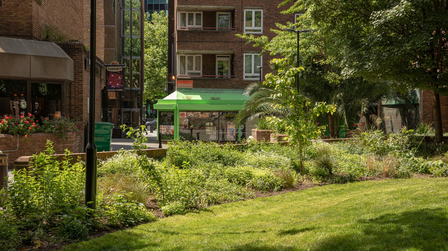 Urban green space with landscaped plants, lawn and trees near city buildings