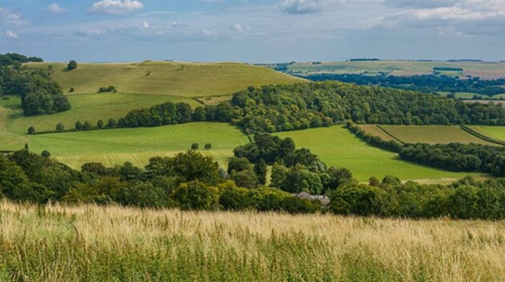 Rolling green Wiltshire countryside with fields, woodland and hedgerows under a blue sky