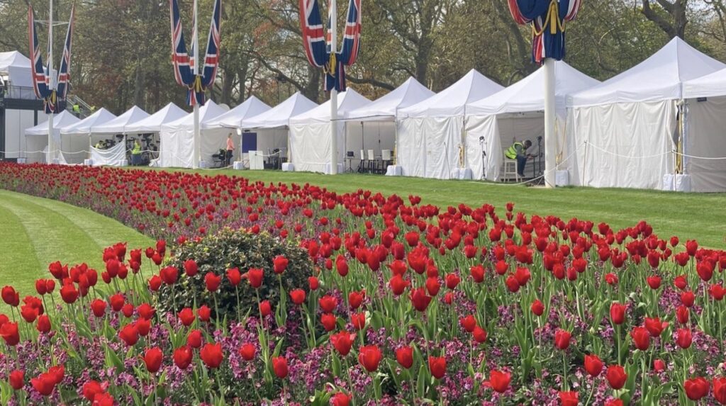Red tulip beds beside marquees decorated with Union Jack flags