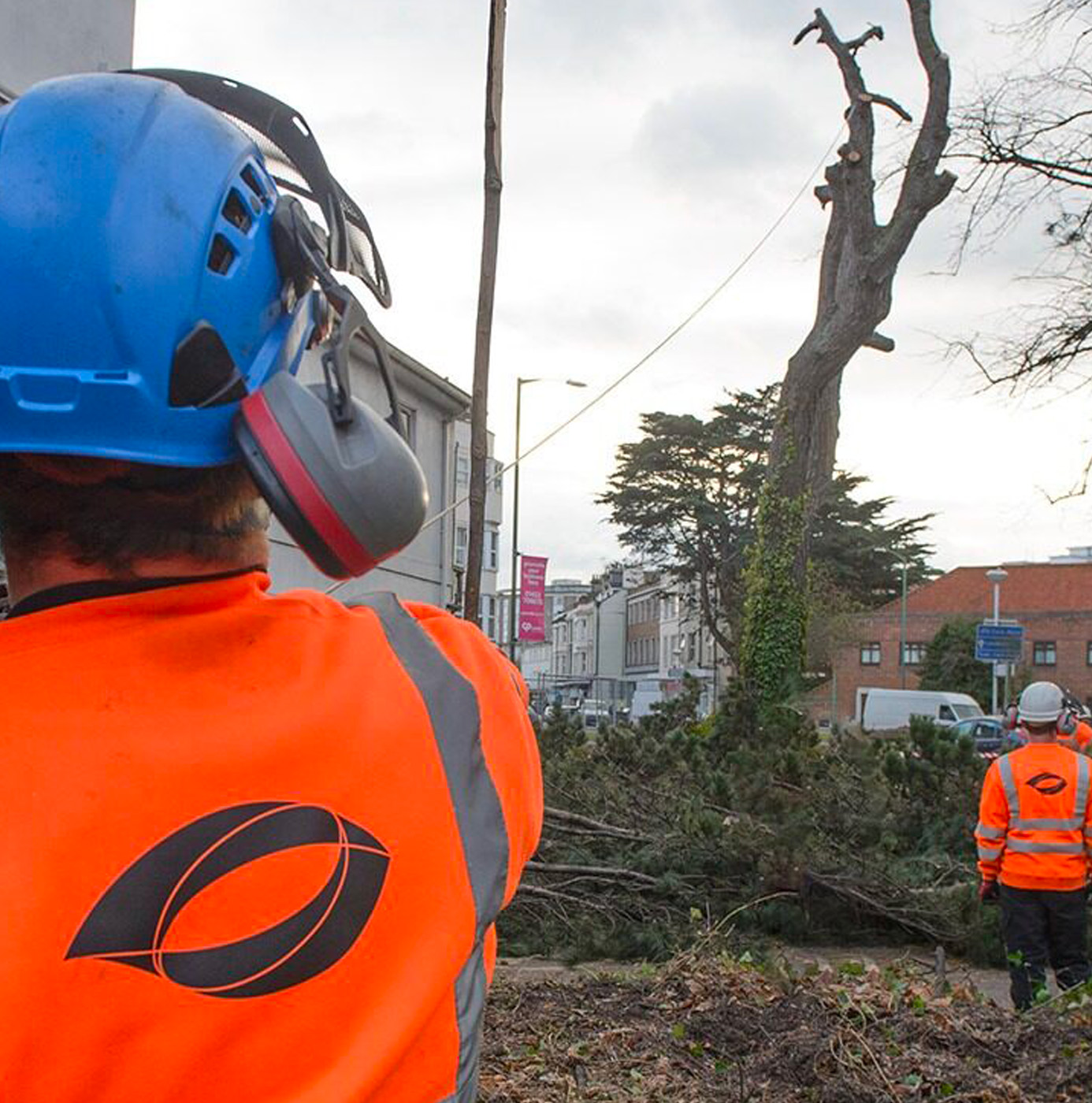 Two idverde arborists in full PPE overseeing a large tree dismantling operation on an urban street, with a partially felled tree and debris on the ground.