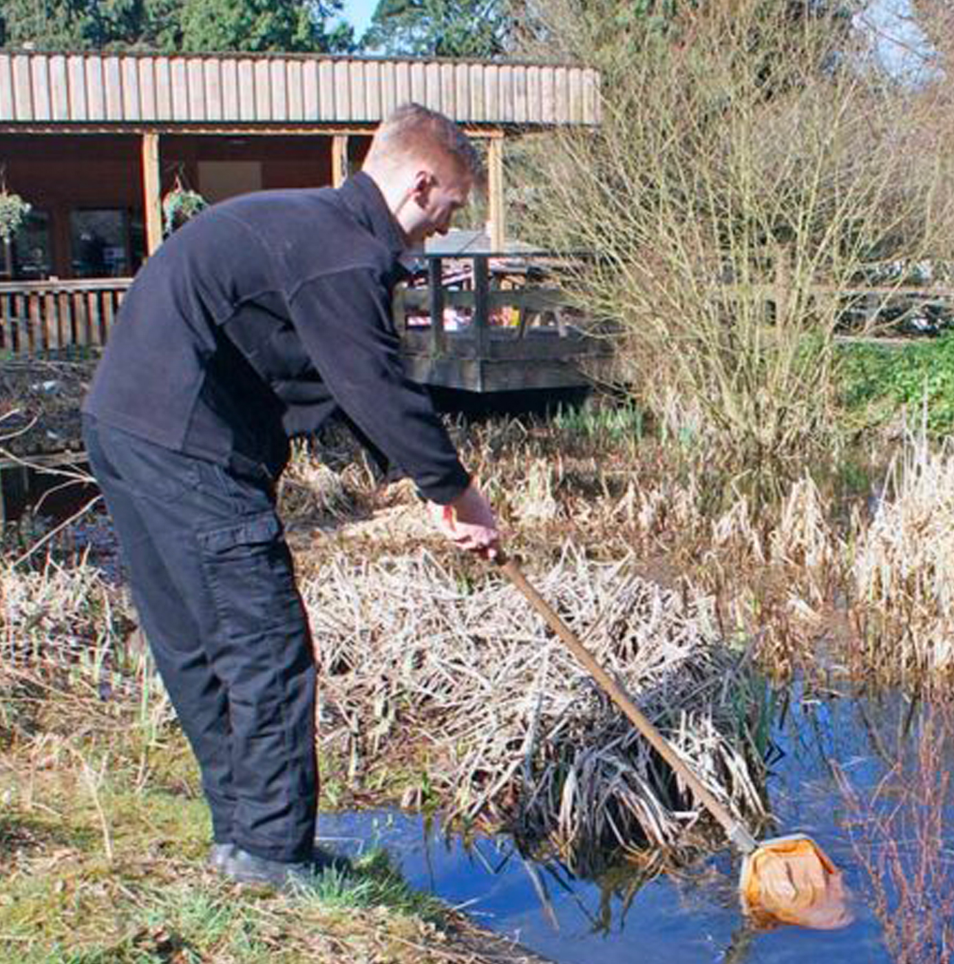 An operative in black workwear using a long-handled net to clear vegetation and debris from a park pond in winter.