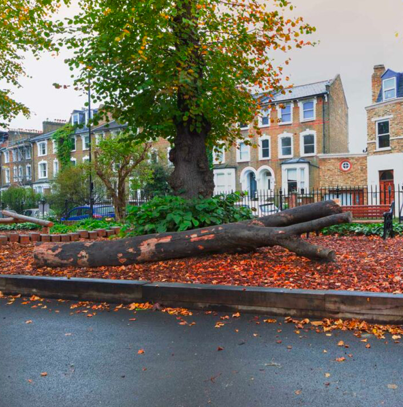Large felled tree trunks retained as habitat logs in a London residential garden square in autumn, with a mature tree and Victorian terraced houses behind.
