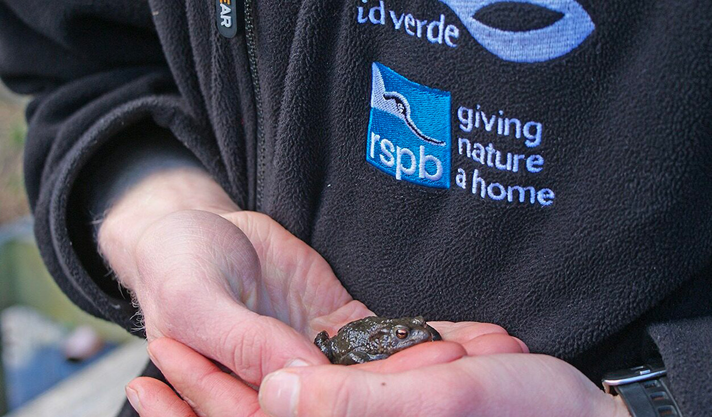 A person wearing an idverde and RSPB co-branded fleece holding a small toad in cupped hands.