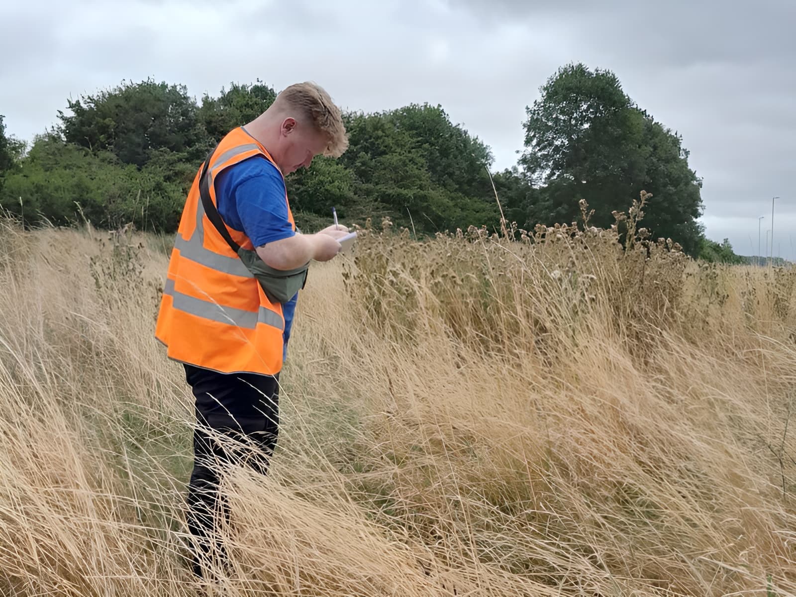 idverde worker in hi-vis vest taking notes in tall dry grassland during a site survey