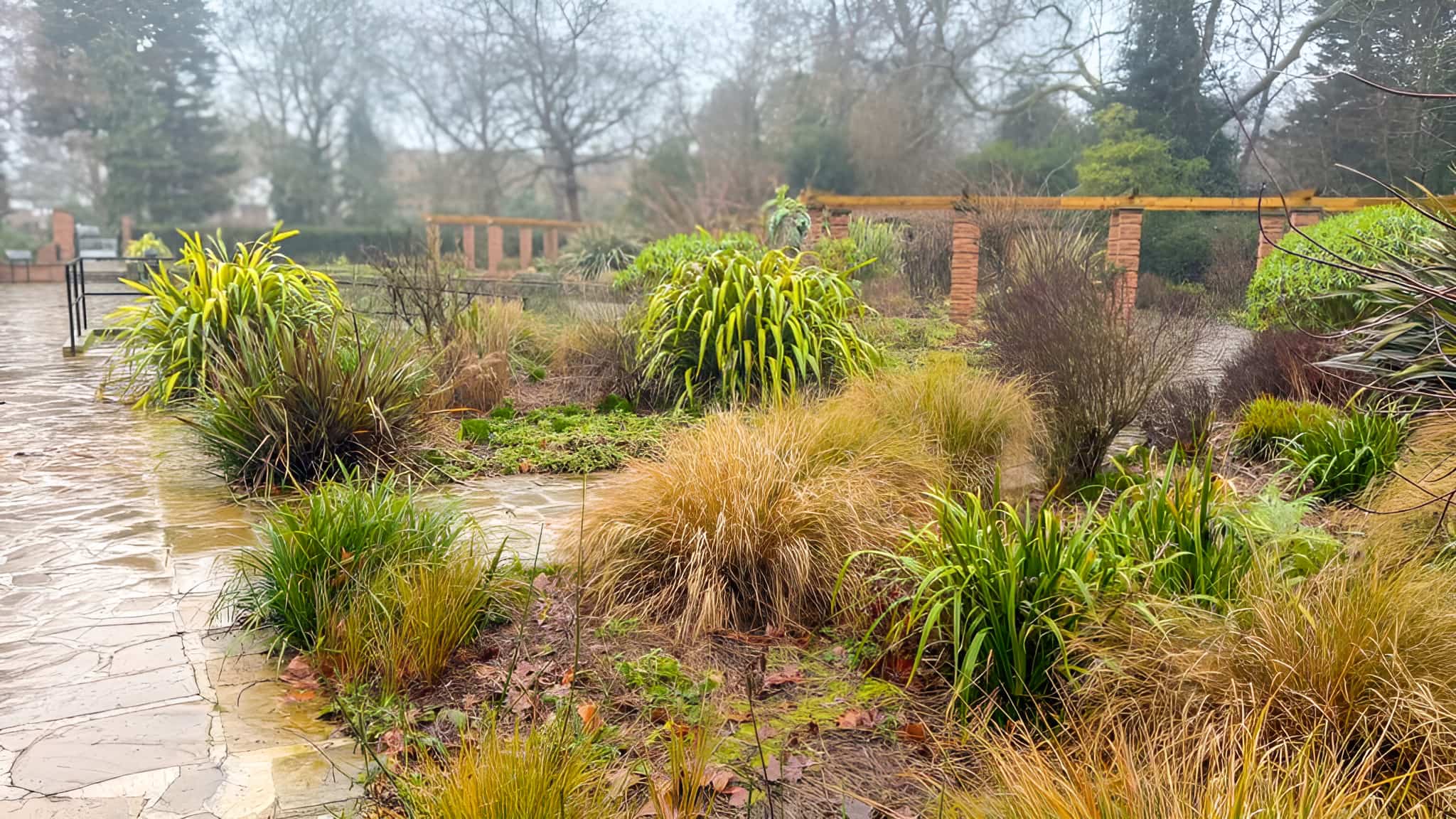 Rain-soaked formal garden with ornamental grasses, evergreen shrubs, stone paving, and brick balustrade on a misty winter day.