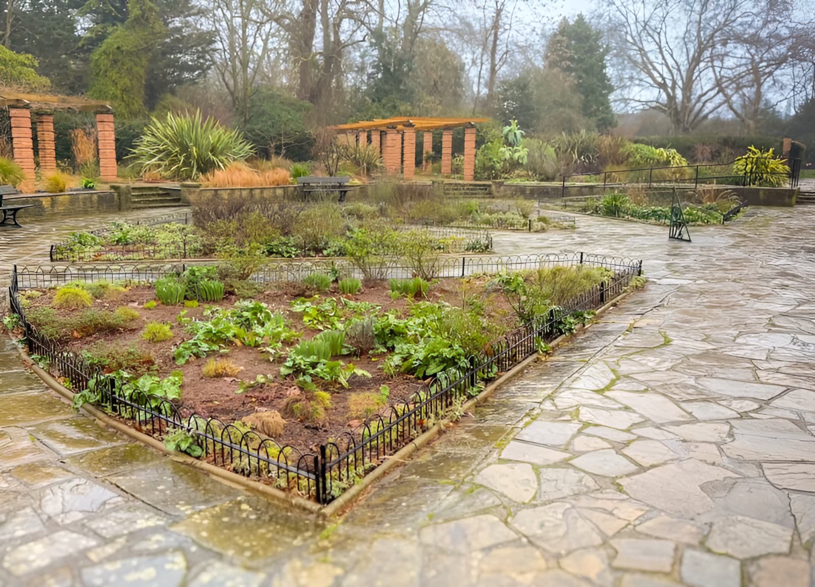 Formal garden beds with low iron fencing on wet stone paving, brick pergola and bare trees in background.